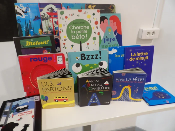 Table avec les différents livres de Delphine Chedru : La lettre de minuit, cherche la petite bête mais aussi 1,2,3 partons, avion bateau caméléon, vive la fête, rouge, et d'autres.